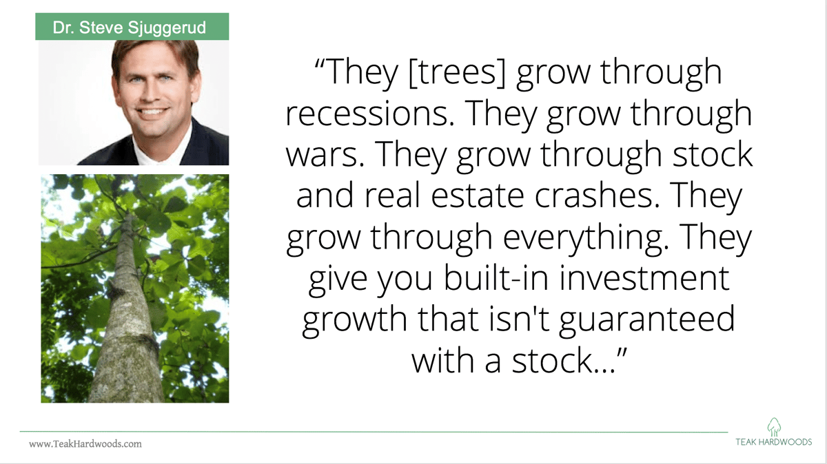 Steve_Sjuggerud_Quote_wealth_investment